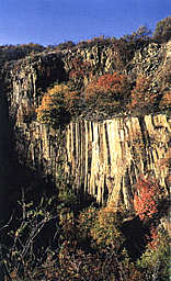 trachite