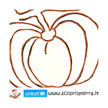 zucca9