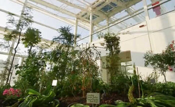 ORTOBOTANICONEW
