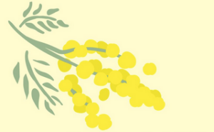 Racconti e Prospettive